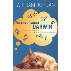 un chat nomme darwin